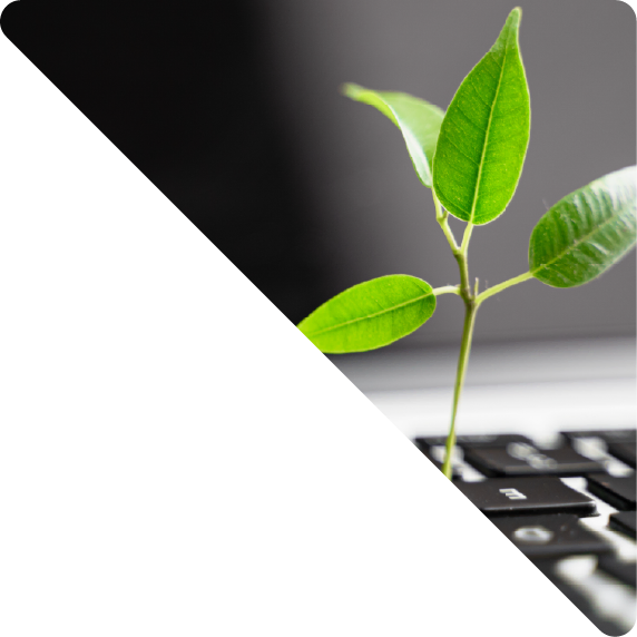 Diseño web como ventaja competitiva