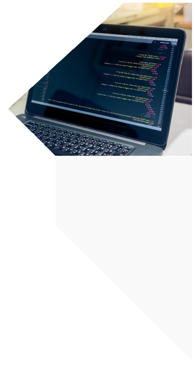 Diseñamos intranets corporativas