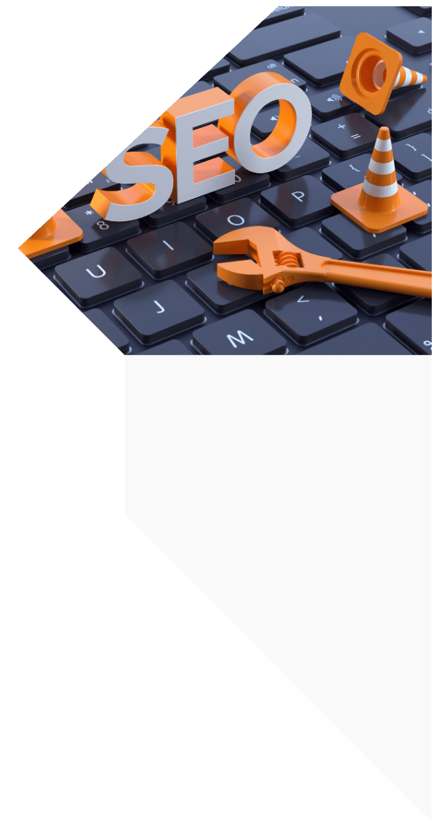 Posicionamiento Web